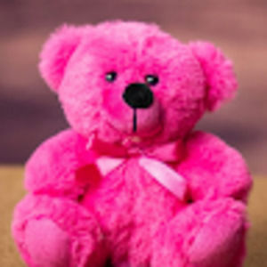 Meet your Posher, Jhorri